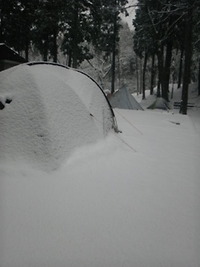 雪中・・・