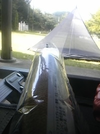 二度・・・ 2012/07/08 08:59:26