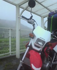 天気予報通り…