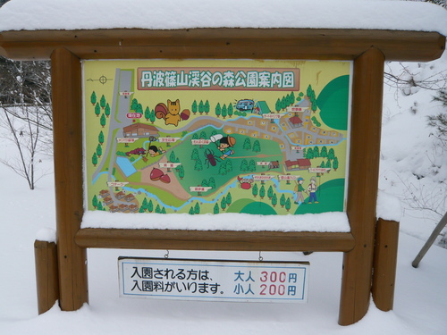 雪を求めて・・・