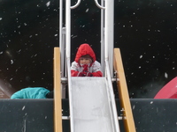雪を求めて・・・
