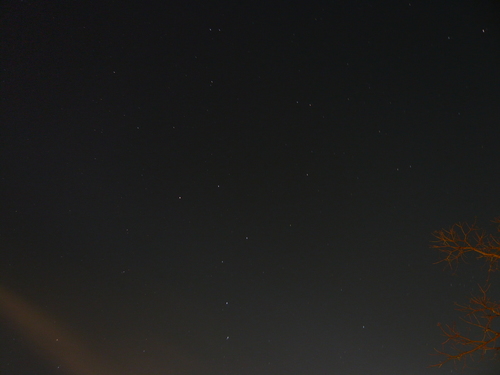 08.03.08しあわせの村～夜～