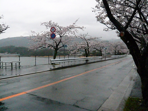 お気に入りの・・・