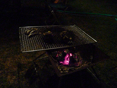 08.06.14赤穂海浜公園～夜とサイトレイアウト？～