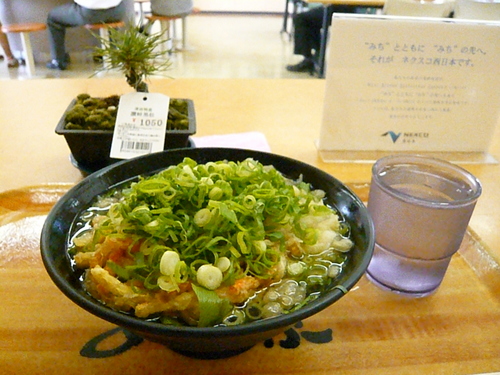 弾丸日帰り出張・・・