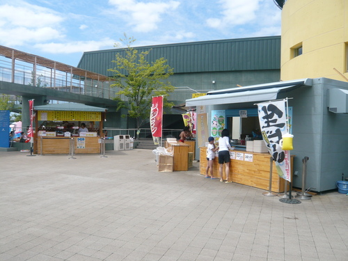お散歩？？？＃夏休み後半恒例のプールへ