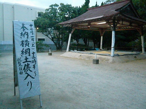 横綱が・・・