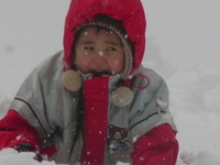 雪を求めて・・・