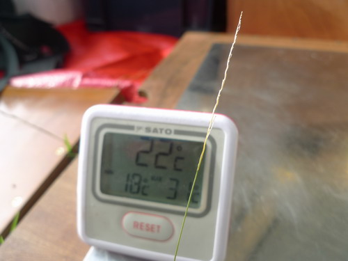 梅雨が明けて・・・＃鹿の鳴く高原で！