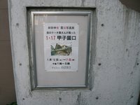 ３連休の中日は・・・