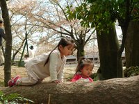 ２００７年は？－上半期編－