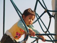 ２００７年は？－下半期編－