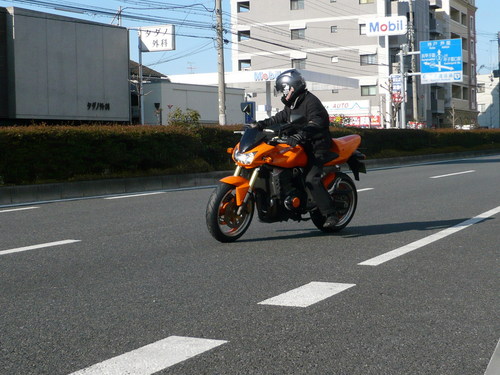 朝から