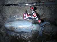 帰還釣行
