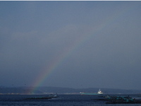 虹 2008/02/28 16:41:20