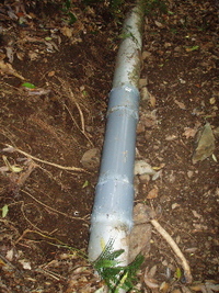 種まき 2008/05/13 22:05:39