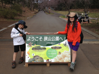 おいしい たのしい だいすき 再び 多摩湖 ウォーキング