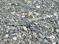 2008/08/03　親不知海水浴