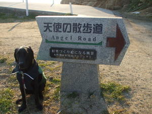 黒ラブぼすおの大きな夢 小豆島 ワン仔連れｏｋの観光地