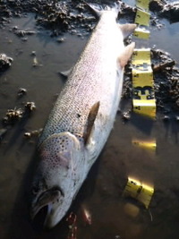 5月、6月の1か0 2012/06/29 17:03:22