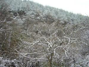 また雪ふった。