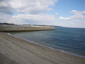 三河湾根魚リング