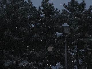 ２月のふらり　近所編