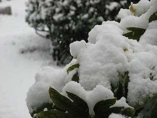 ２月のふらり　近所編