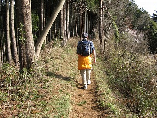 陣馬～高尾トレッキング