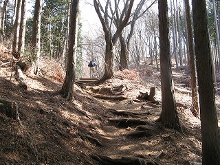 陣馬～高尾トレッキング