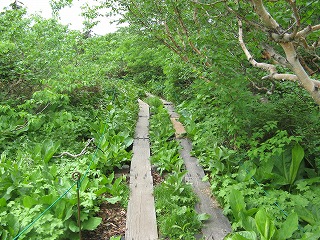 白馬岳　その６　～天上の池へ～