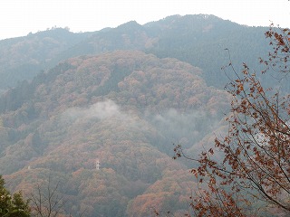 ファミリーキャンプ♪（久しぶりだ～）相模湖ピクニックランド編