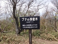 綿向山登山