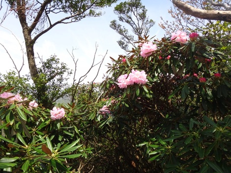 綿向山登山