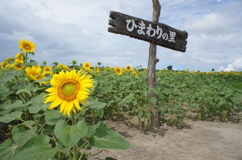 北海道ツーリング3日目午前(千歳～すみれ)