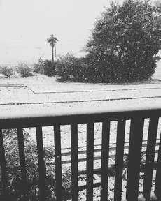 雪降っちゃったよ！