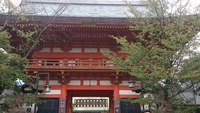 そうだ、京都に行こうっ…の巻 2014/10/28 15:34:55