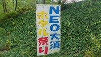 ＮＥＯキャンピングパーク（オークションに行ってきた…の巻）
