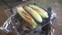 朝からトウモロコシ 2014/08/04 08:53:50