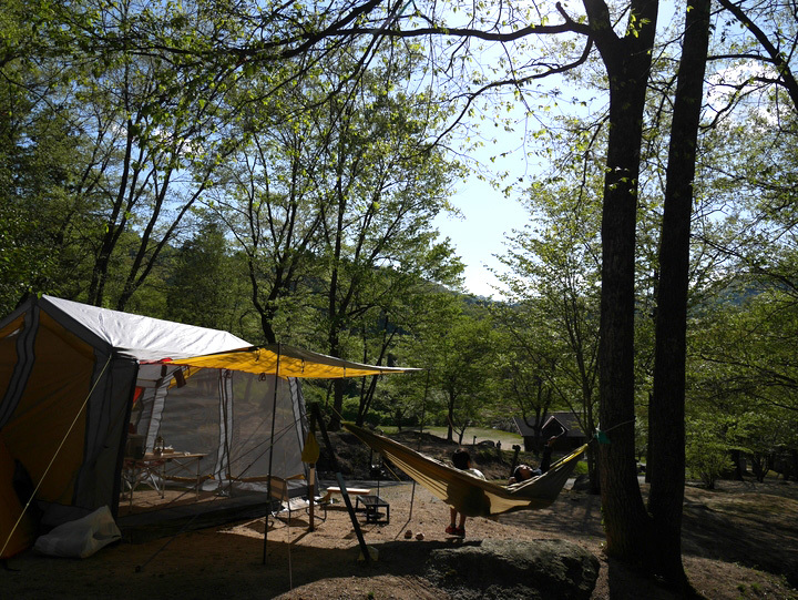 新緑の父子キャンプ in　矢野温泉公園四季の里キャンプ場