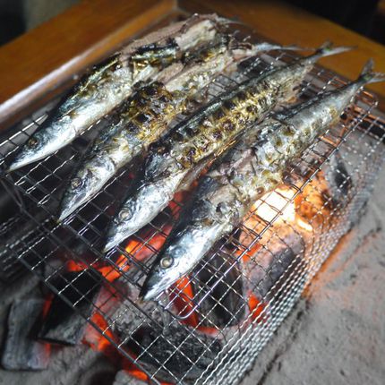 秋刀魚の炭火焼,キャンプ