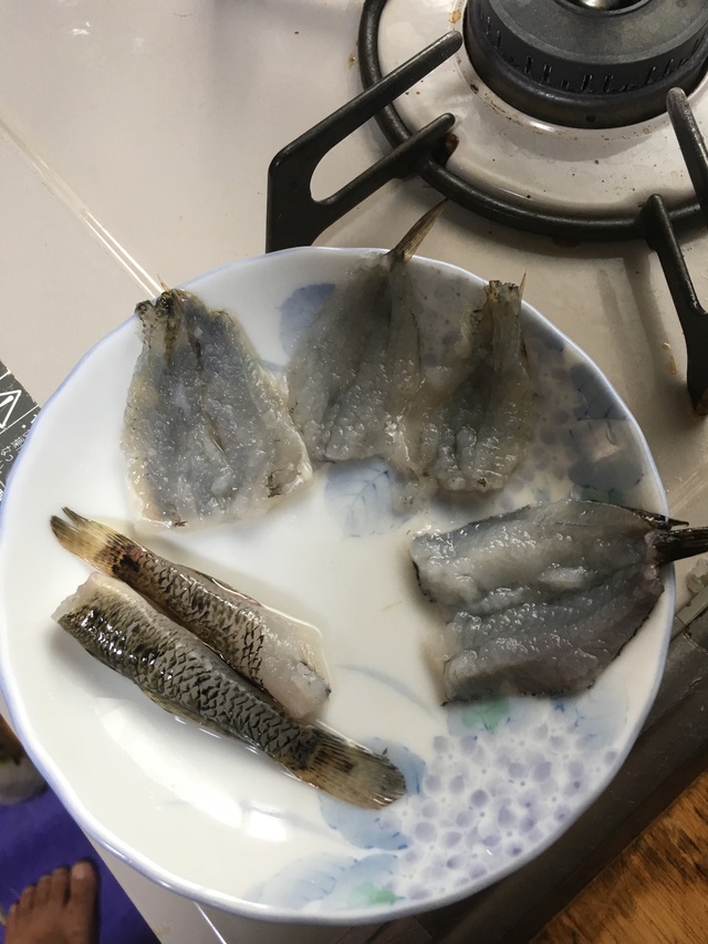 夏休みの思い出 パート2 ハゼ釣り