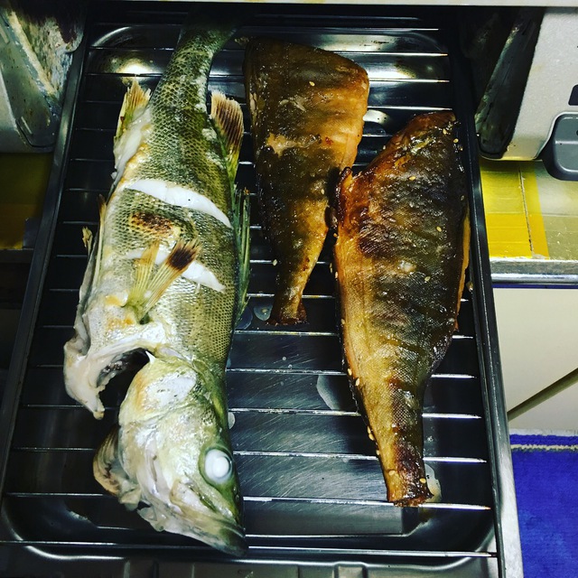 夏休みの思い出 パート2 ハゼ釣り