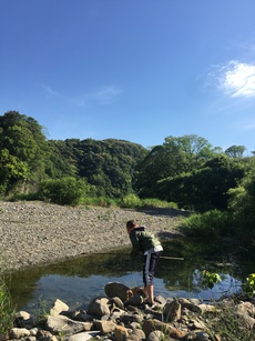 陽大君の狩り