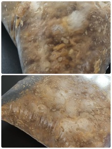 ［ほたるの里オートキャンプ場①］不満ばかりのキャンプ