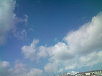 3月9日の記事 2014/03/09 16:52:06