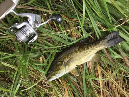 スモールマウス釣行記・・・荒川水系 スモールマウス釣行記・・・荒川水系