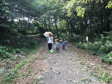 夏におすすめ!格安で遊べる、群馬 『昆虫の森』 夏におすすめ!格安で遊べる、群馬 『昆虫の森』