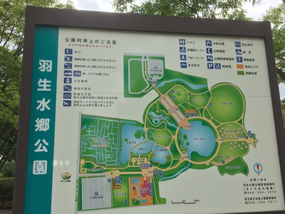 夏休みの思い出!さいたま水族館へ行ってきた! 夏休みの思い出!さいたま水族館へ行ってきた!