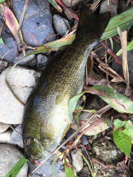 ギックリ腰でも行きたくなっちゃうの・・・もう病気かも・・・ ギックリ腰でも行きたくなっちゃうの・・・もう病気かも・・・